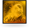 <b>PIRASTRO</b> - EVAH PIRAZZI GOLD C4 335420 Medium -rope core/tungsten