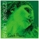 EVAH PIRAZZI 4294 C Tungstein-Silver - soft