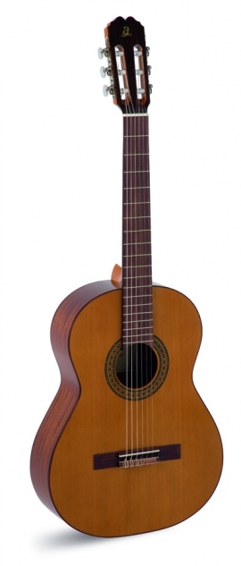 A1