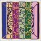 PASSIONE 2393 G Gut/Chrome steel (27 1/2)