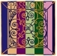 PASSIONE 2394 C Gut/Tungsten (31 1/2)