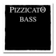 PIZZICATO Orchestra 244020 SET