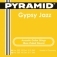 302100 ACOUSTIC Gypsy Jazz DJango Style SET [010-045], Semi Light